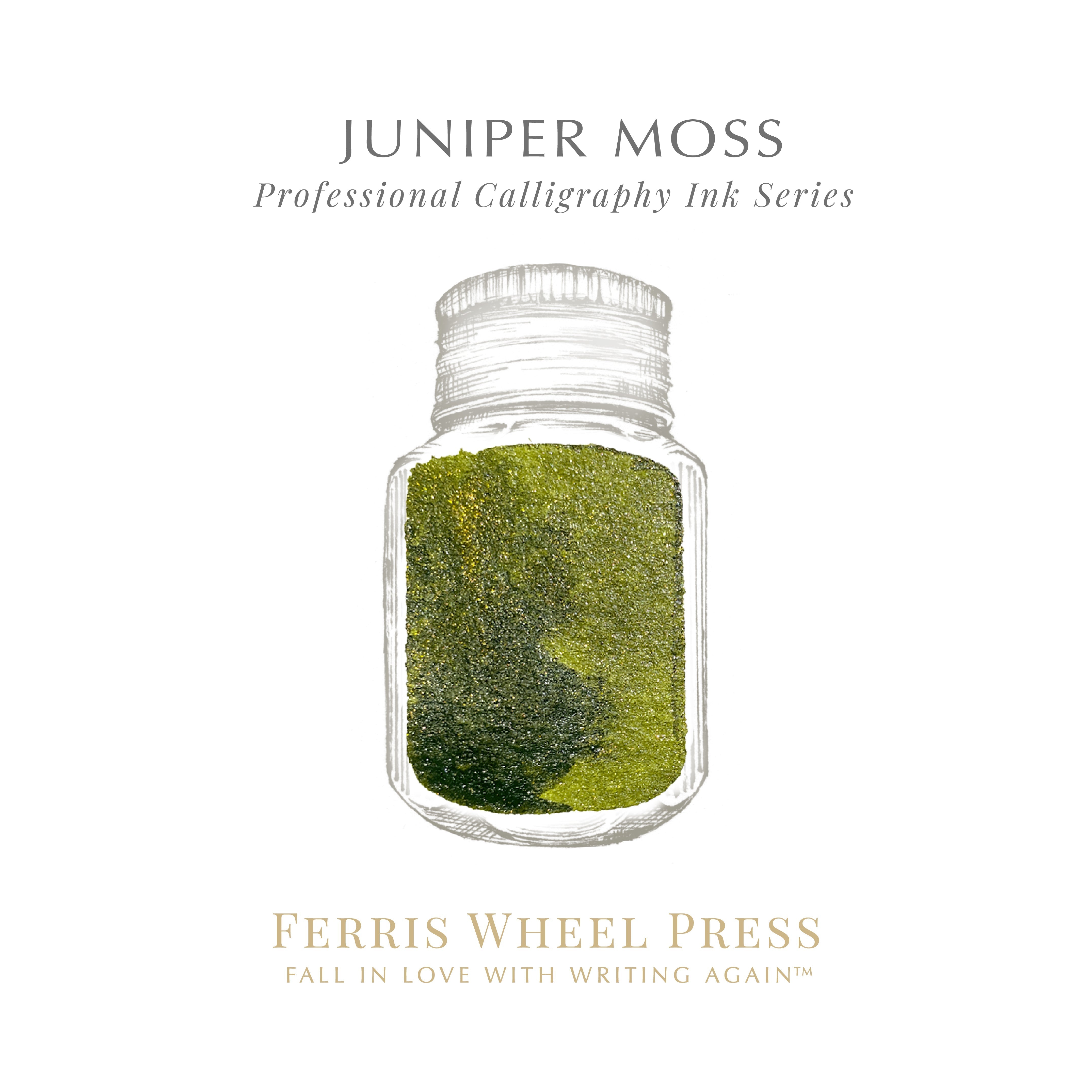 28ml Calligraphy Ink | Ferris Wheel Press