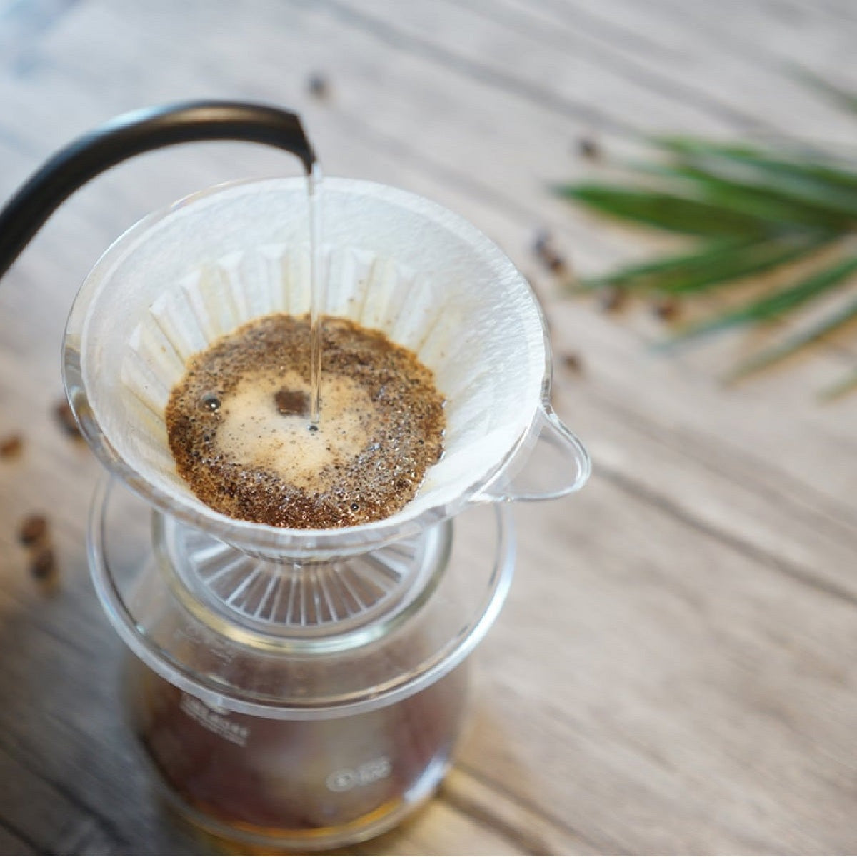 Timemore Crystal Eye Plastic Dripper V60-01 Clear